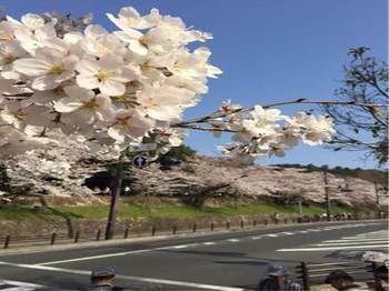 Higashiyama Hale Temari Guest house Kyoto